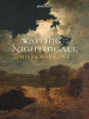 cover image of Waiting for the Nightingale